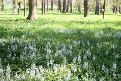 Killikus&reg; Fotographie